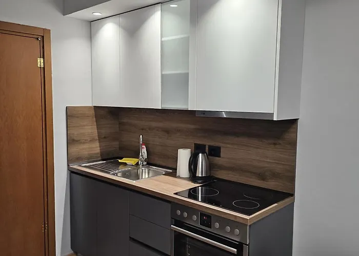 Daily 3 Apartment Tirana